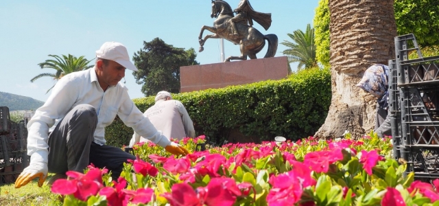 Hatay Çiçek Bahçesine Dönüşüyor